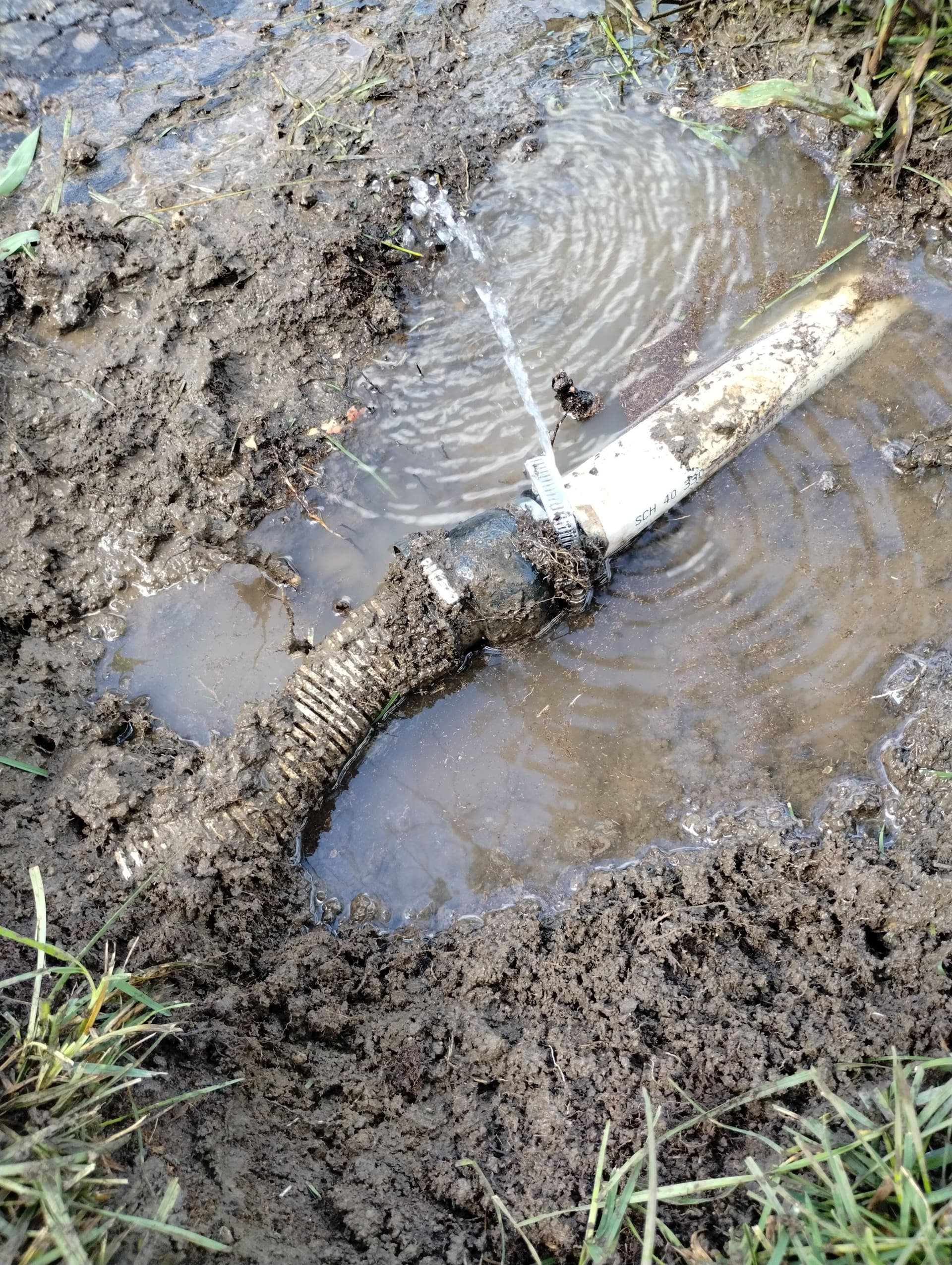 Gallery photos for Root Intrusion Killed This Sump Discharge Line in Raytown: Image #1