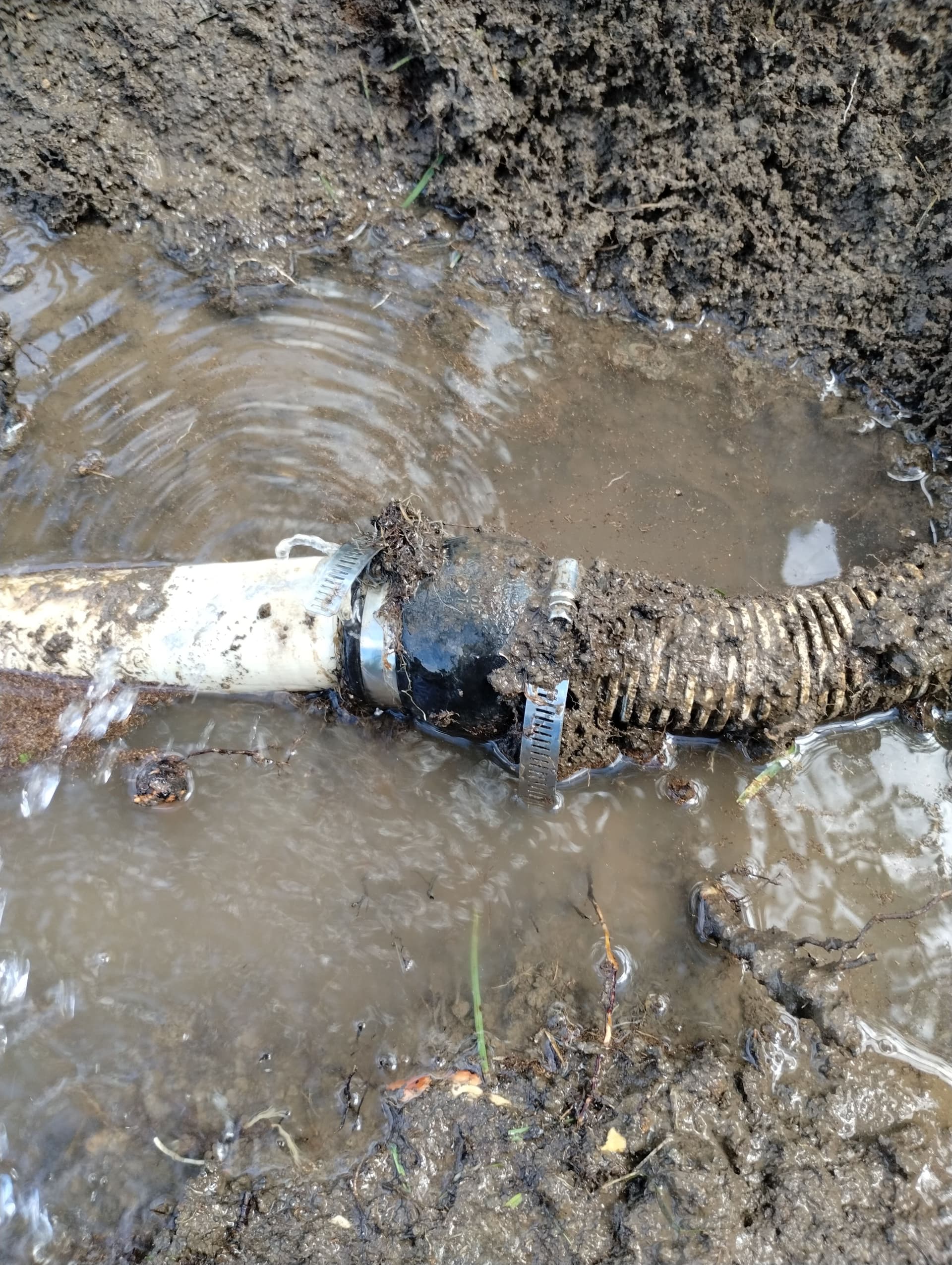 Root Intrusion Killed This Sump Discharge Line in Raytown image