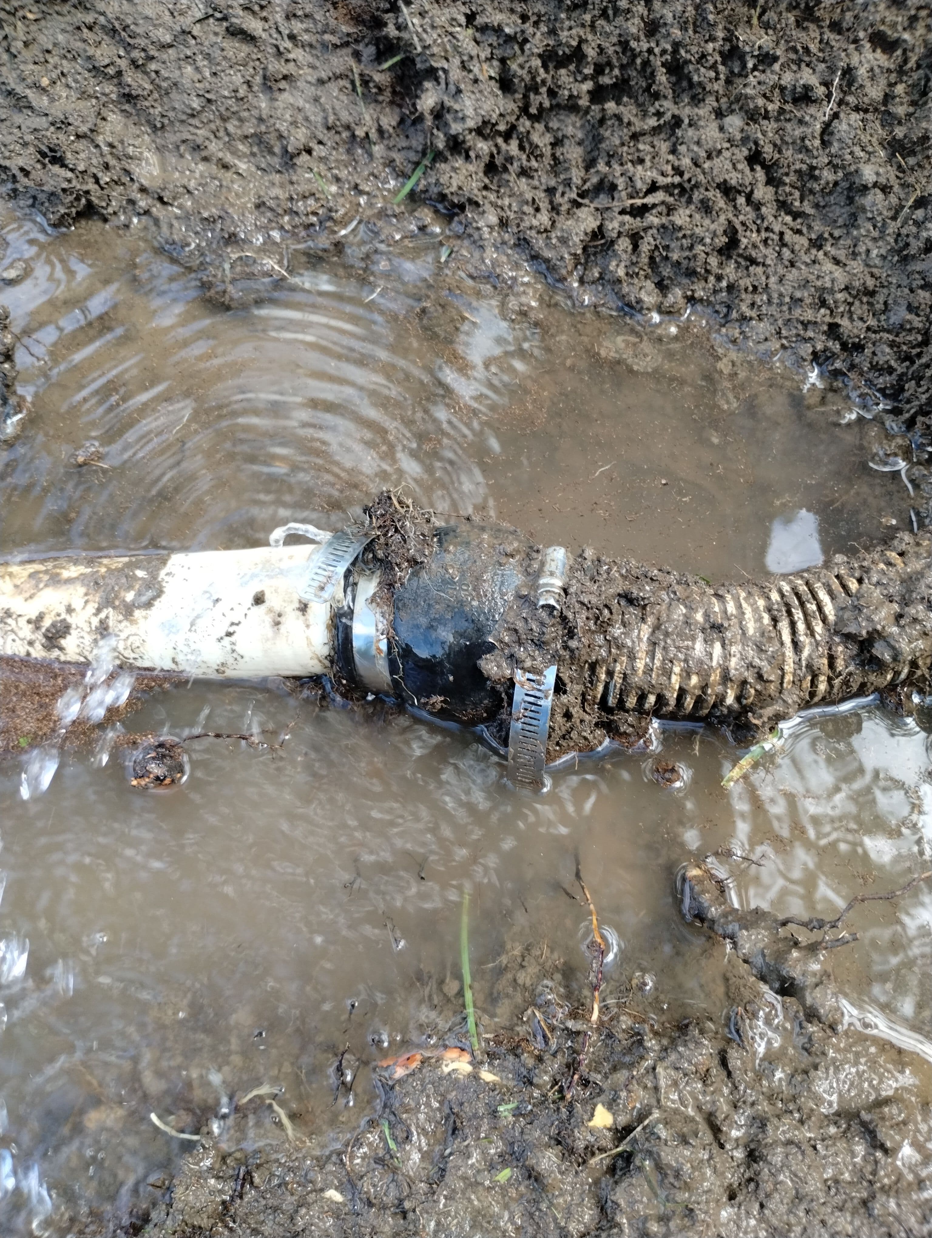 Project Root Intrusion Killed This Sump Discharge Line in Raytown image