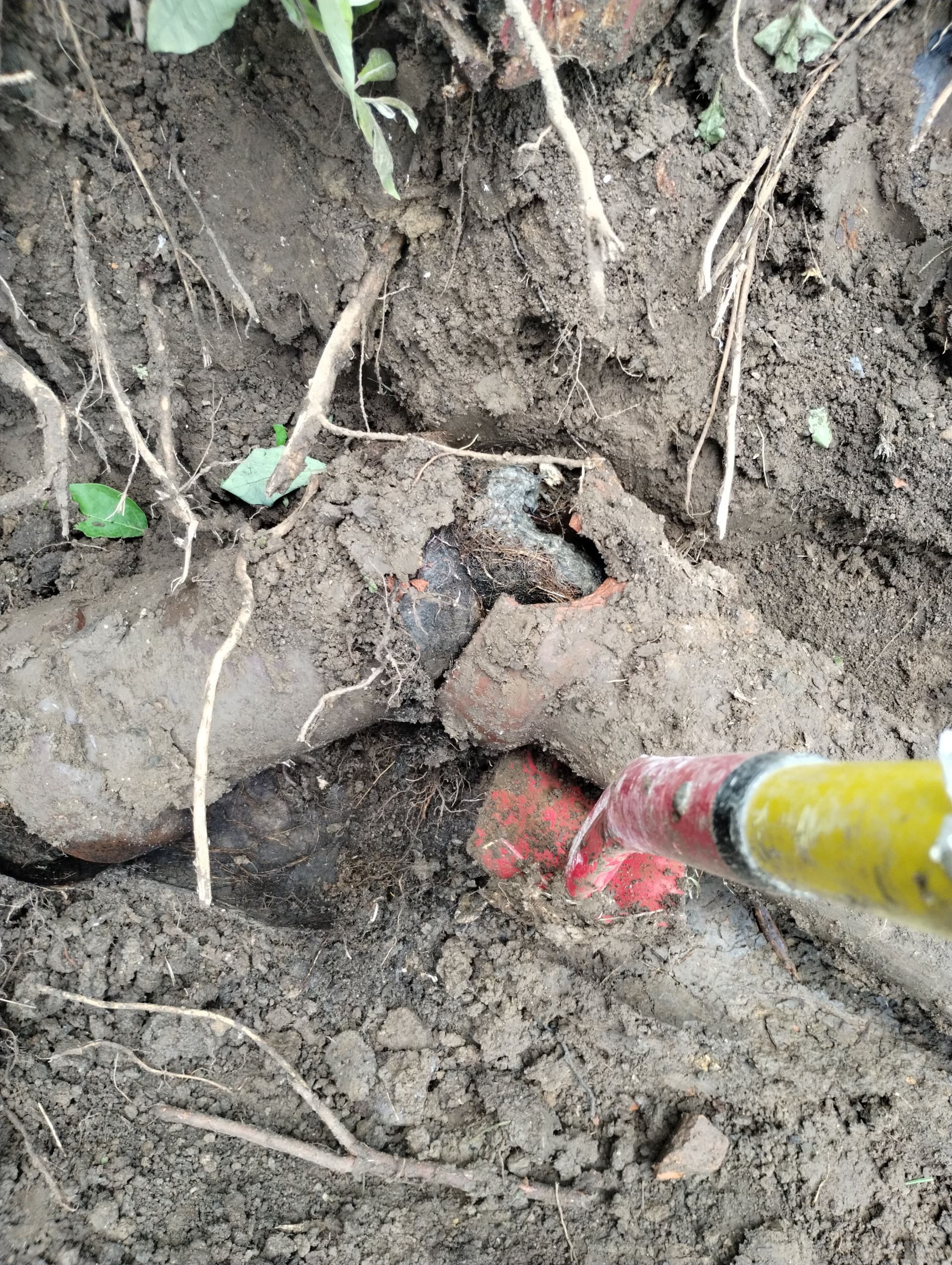 Gallery photos for Sewer Line Replacement in Platte City Fixes Chronic Backup Problem: Image #3