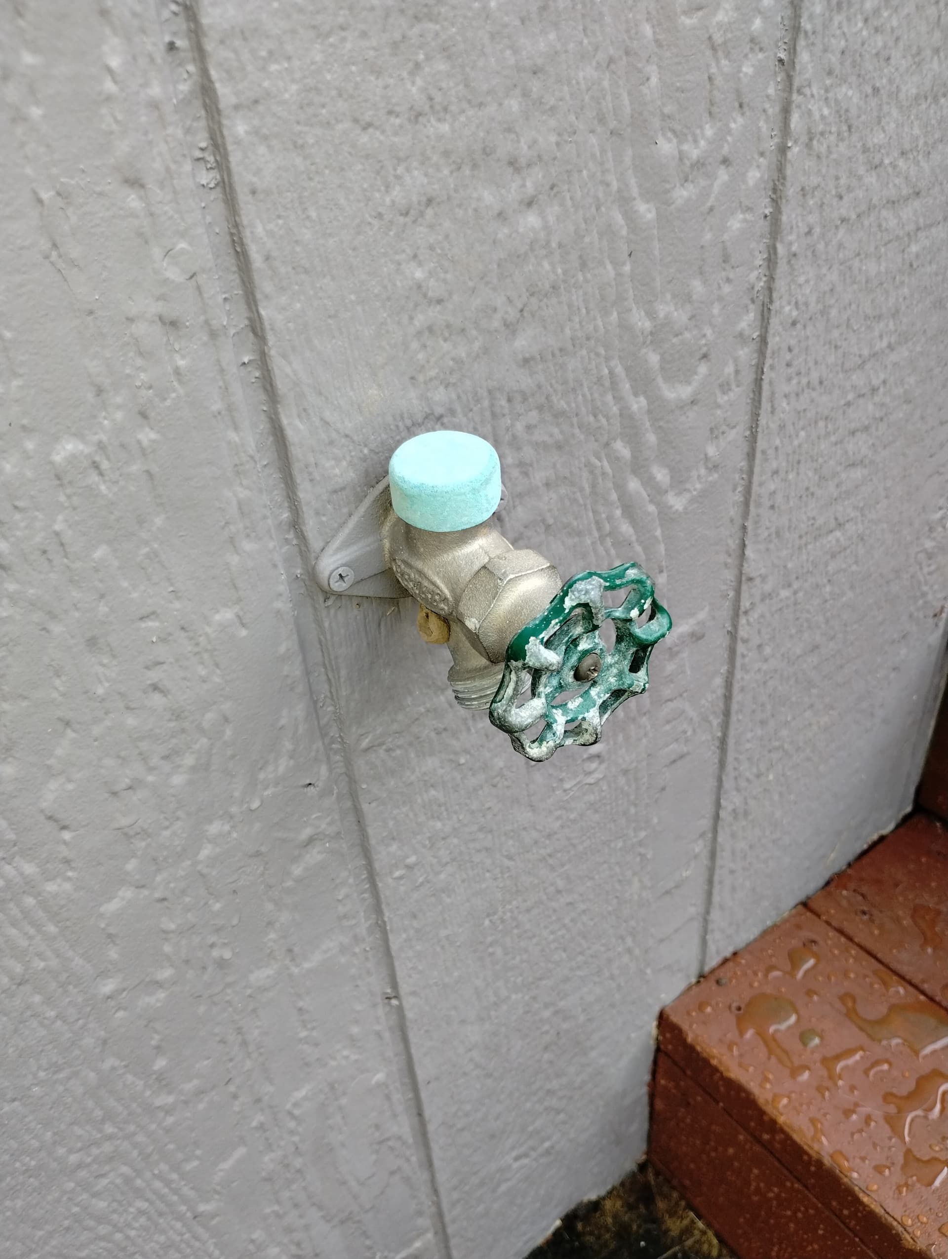 Gallery photos for Leaky Hose Bib Replacement Uncovers Hidden Damage in Platte City: Image #2
