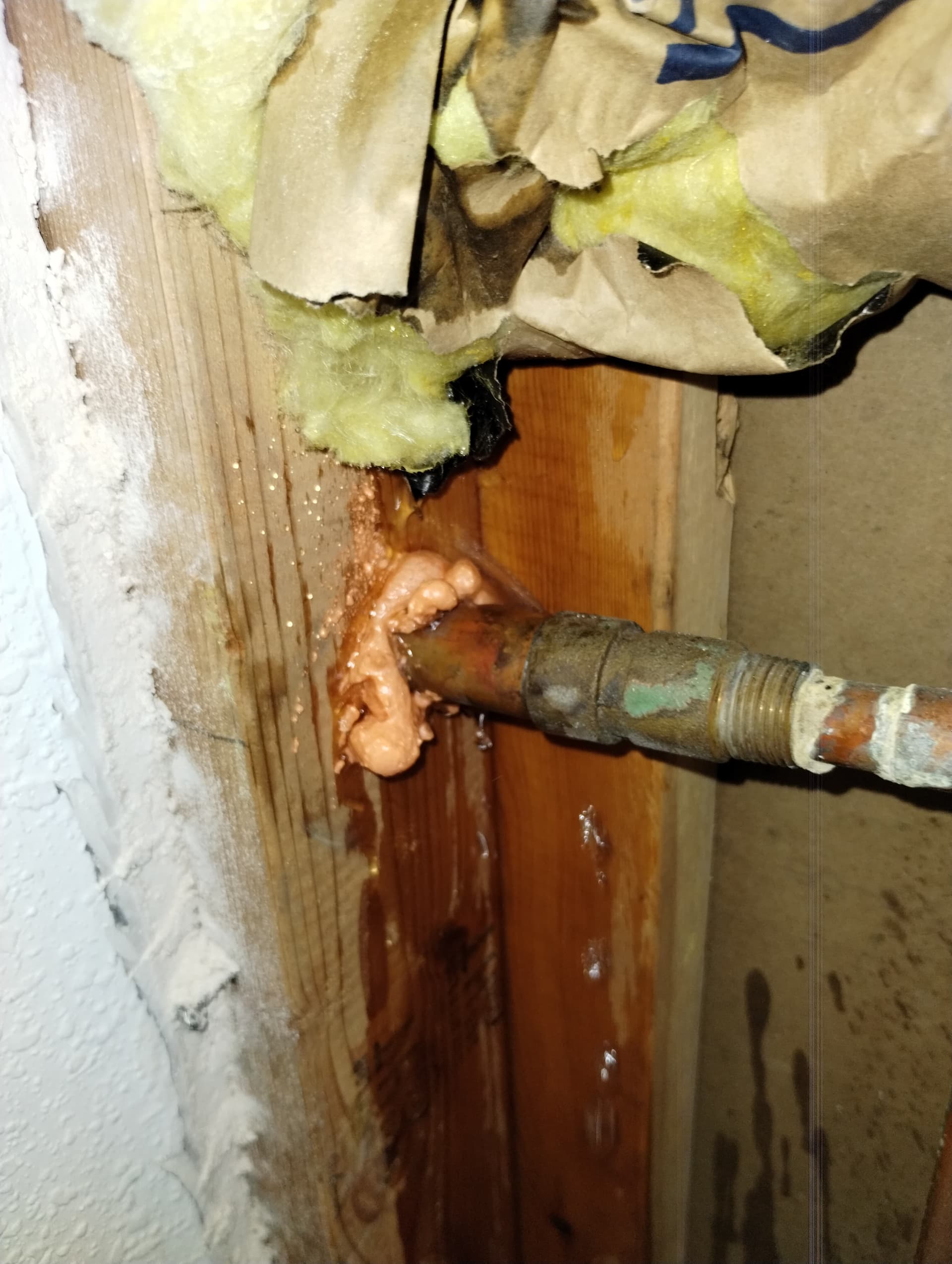 Gallery photos for Leaky Hose Bib Replacement Uncovers Hidden Damage in Platte City: Image #1